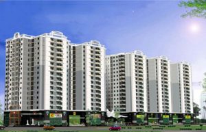 Hợp đồng dịch vụ bảo vệ hầm xe Chung cư Phú Thạnh